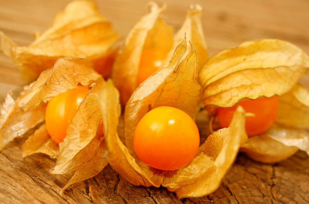 農(nóng)業(yè)自動氣象站助力菇娘規(guī)?；N植
